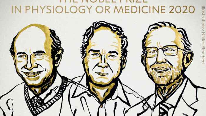 La imagen muestra a los ganadores del Premio Nobel de Medicina