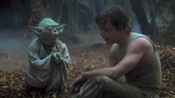 Luke Skywalker Yoda Dagobah