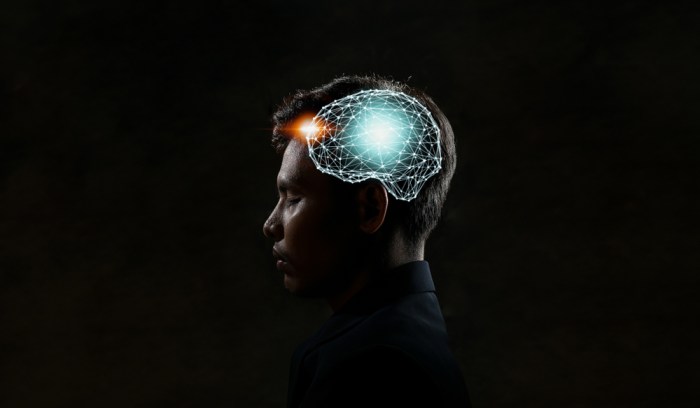 La imagen muestra una representación del cerebro al interior del cráneo humano.