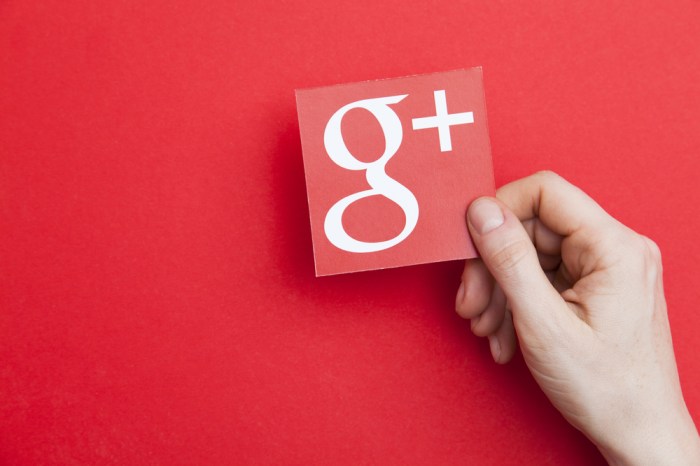 La imagen muestra el logo de Google+