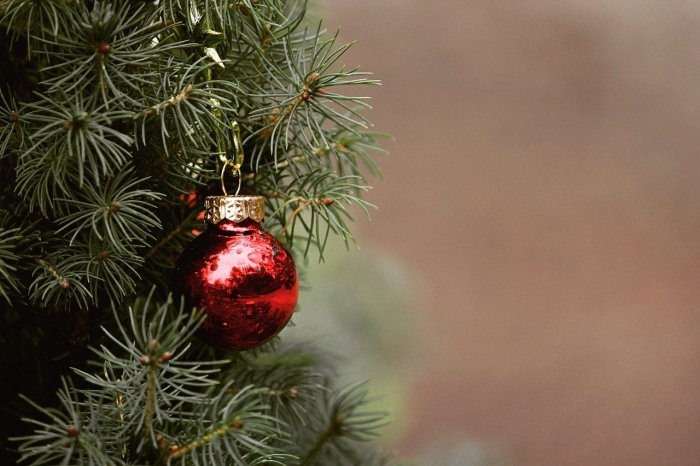 La imagen muestra un árbol de Navidad y aun adorno colgando de él.