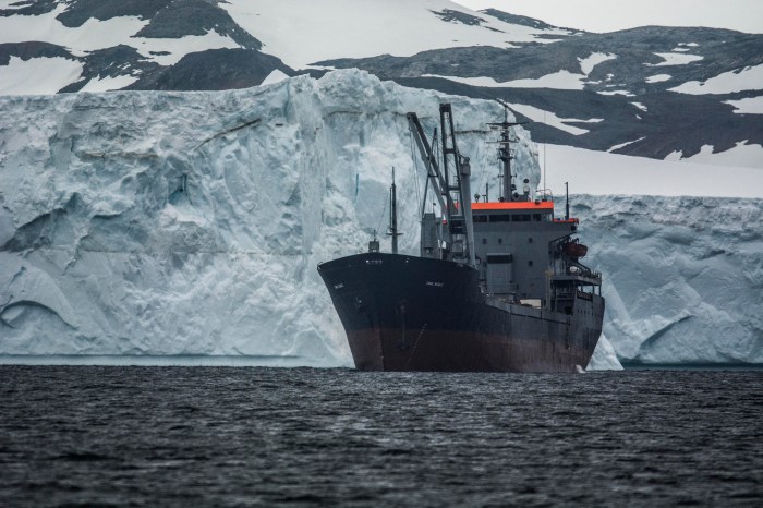 Científicos hallan vida marina a 900 metros de profundidad en la Antártida