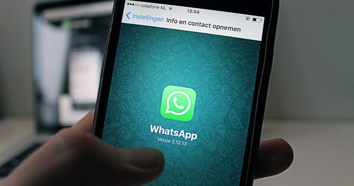 Hasta aquí rápido empeorar Se borraron tus fotos y videos de WhatsApp: Aquí la solución | Digital  Trends Español