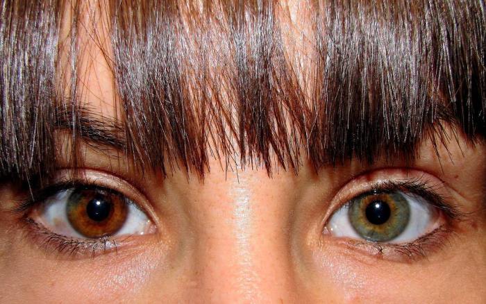 Científicos descubren 50 regiones genómicas que influyen en el mecanismo que da color a los ojos