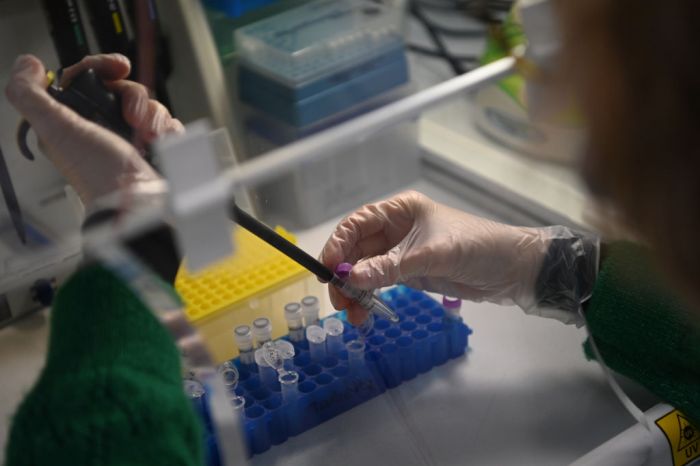 Un trabajador prepara una muestra para un estudio de genes