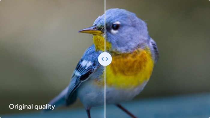 Una comparativa sobre la calidad del almacenamiento de imagen de Google Fotos