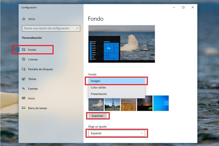 Embotellamiento Collar personalidad Cómo cambiar el fondo de la pantalla de inicio en Windows 10 | Digital  Trends Español