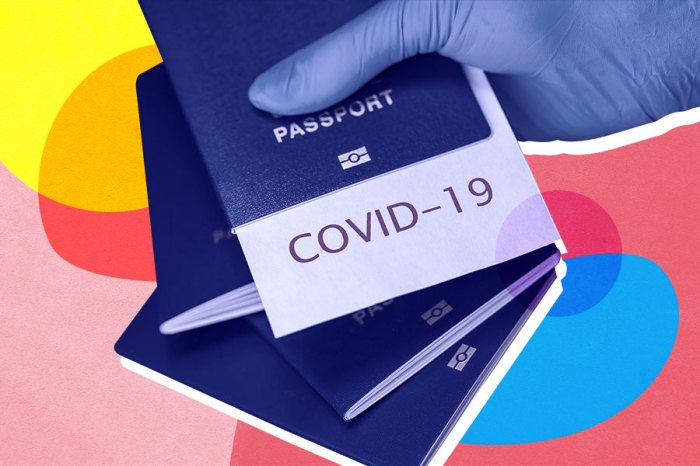 Pasaporte COVID-19