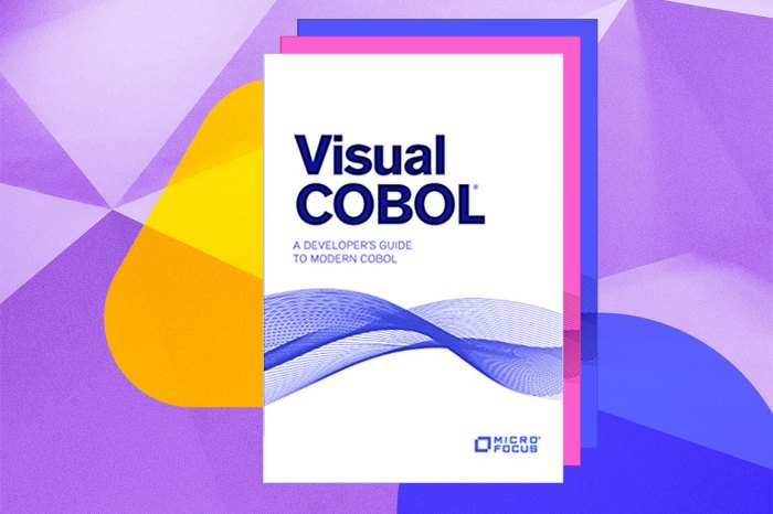 Una ilustración del lenguaje de programación COBOL-80