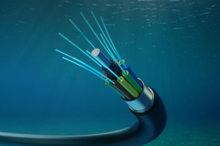 dia de internet cables submarinos cable submarino