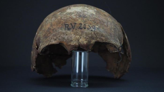 Cráneo de la primera víctima de peste de la historia