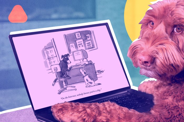 Una imagen alusiva a la viñeta "En Internet, nadie sabe que eres un perro"