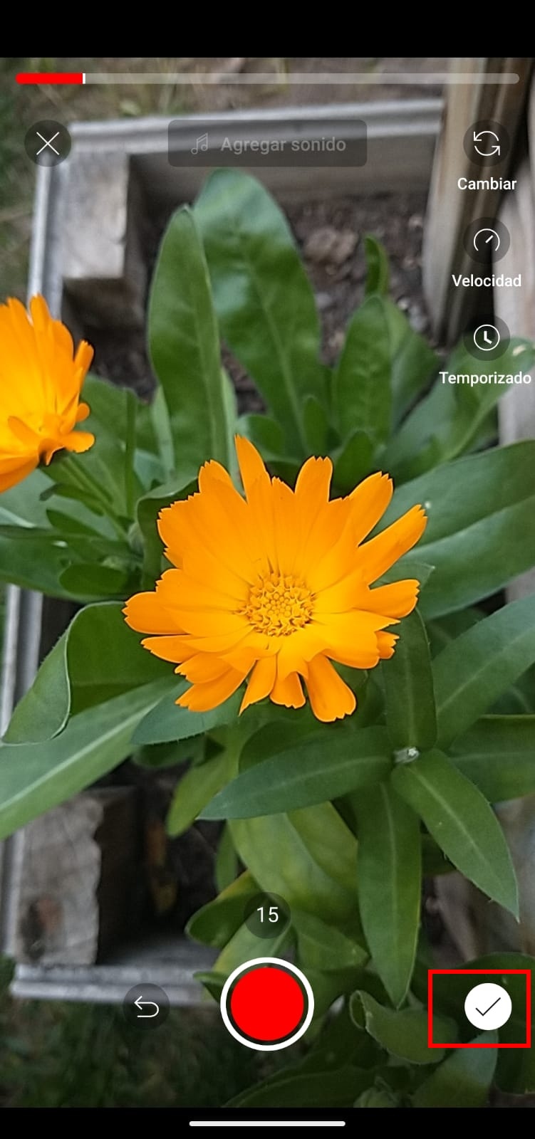 youtube shorts como crear videos cortos app youtubeshorts08