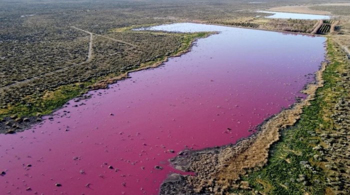 laguna argentina rosa contaminacion 1