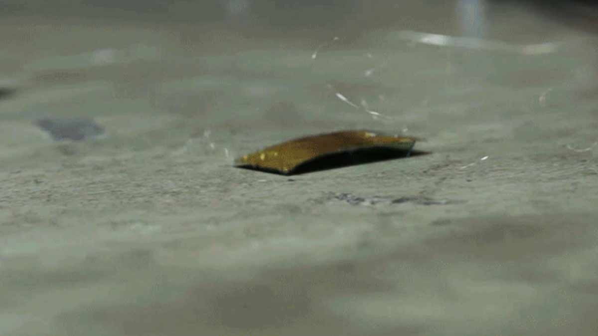 Se inspiran en las cucarachas para crear un robot imposible de aplastar