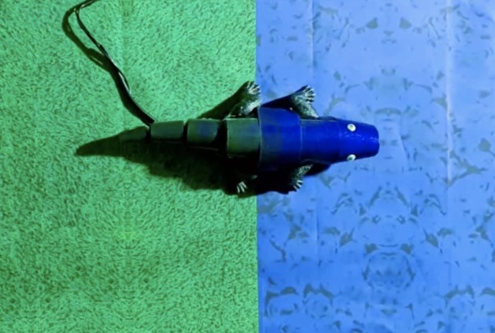 Este robot puede camuflarse y cambiar de color según el entorno
