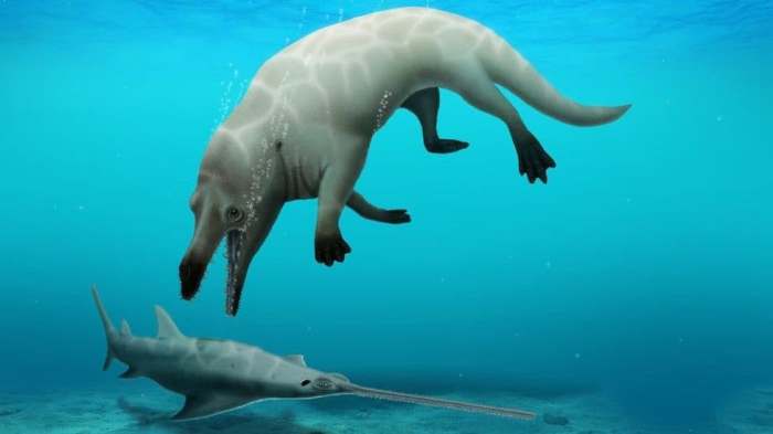 Descubren en Egipto el fósil de una ballena con cuatro patas
