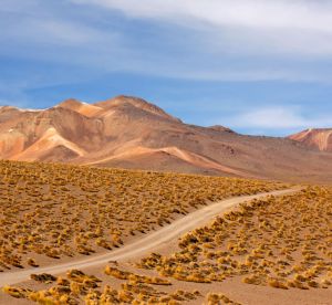 Hadas rojas: Las extrañas luces que han aparecido en el desierto chileno 