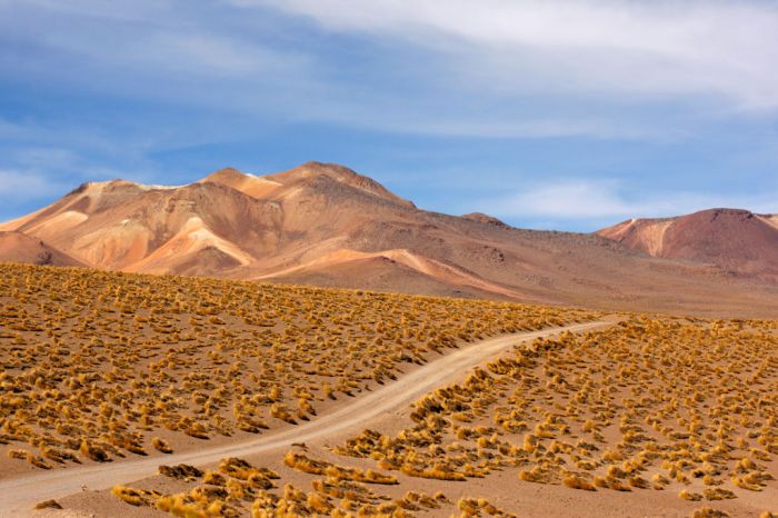 Restos humanos revelan una historia de violencia en el desierto de Chile
