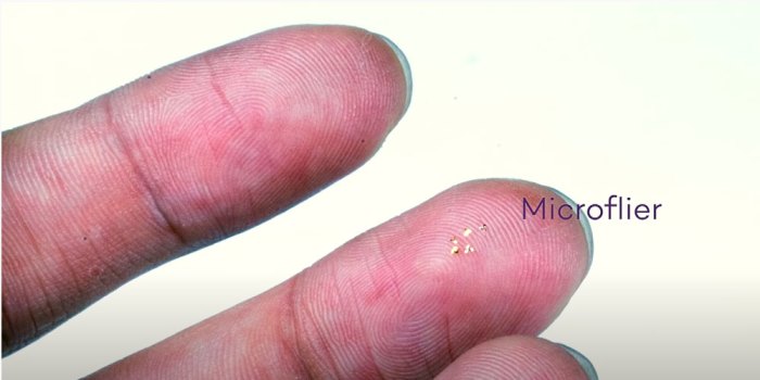 microchips voladores tecnologia datos chip nature