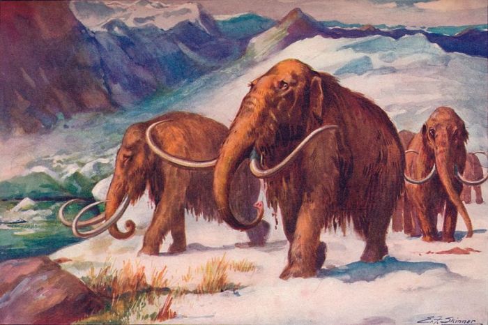 colossal genetica revivir mamut lanudo the early ice age