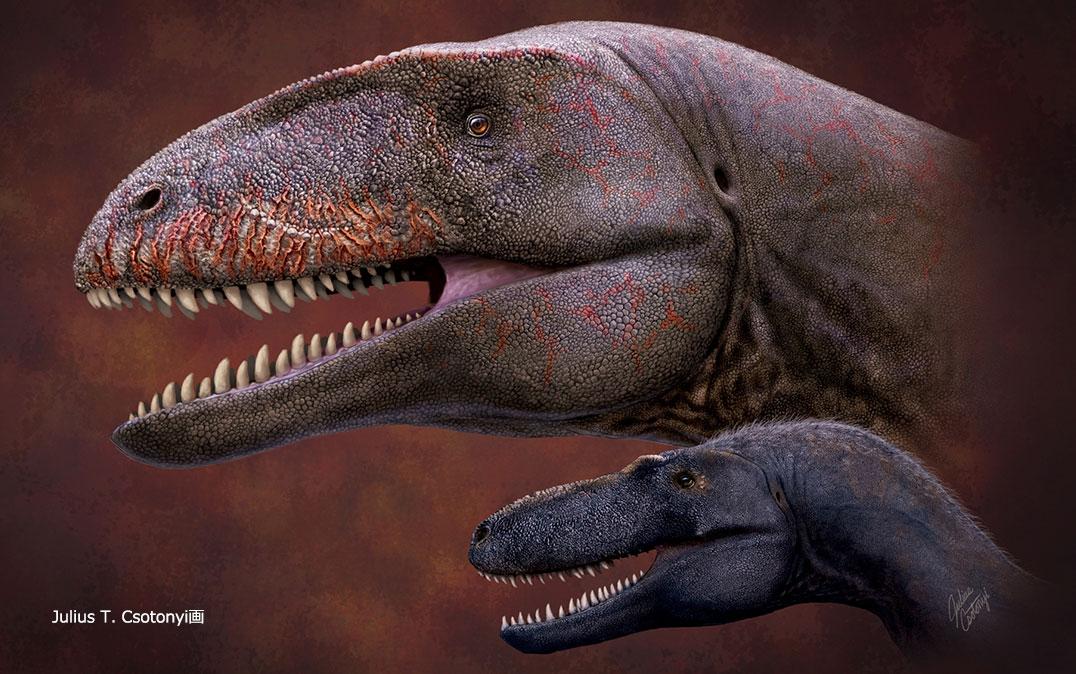 Este dinosaurio fue el gran depredador antes del T-Rex | Digital Trends  Español