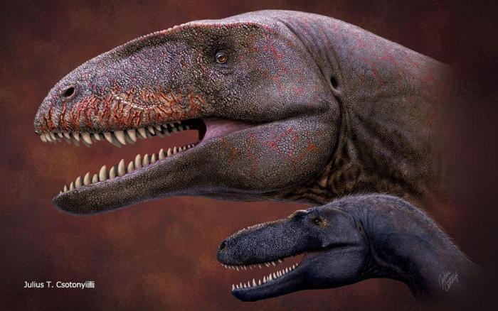 dinosaurio depredador antes t rex ulughbegsaurus