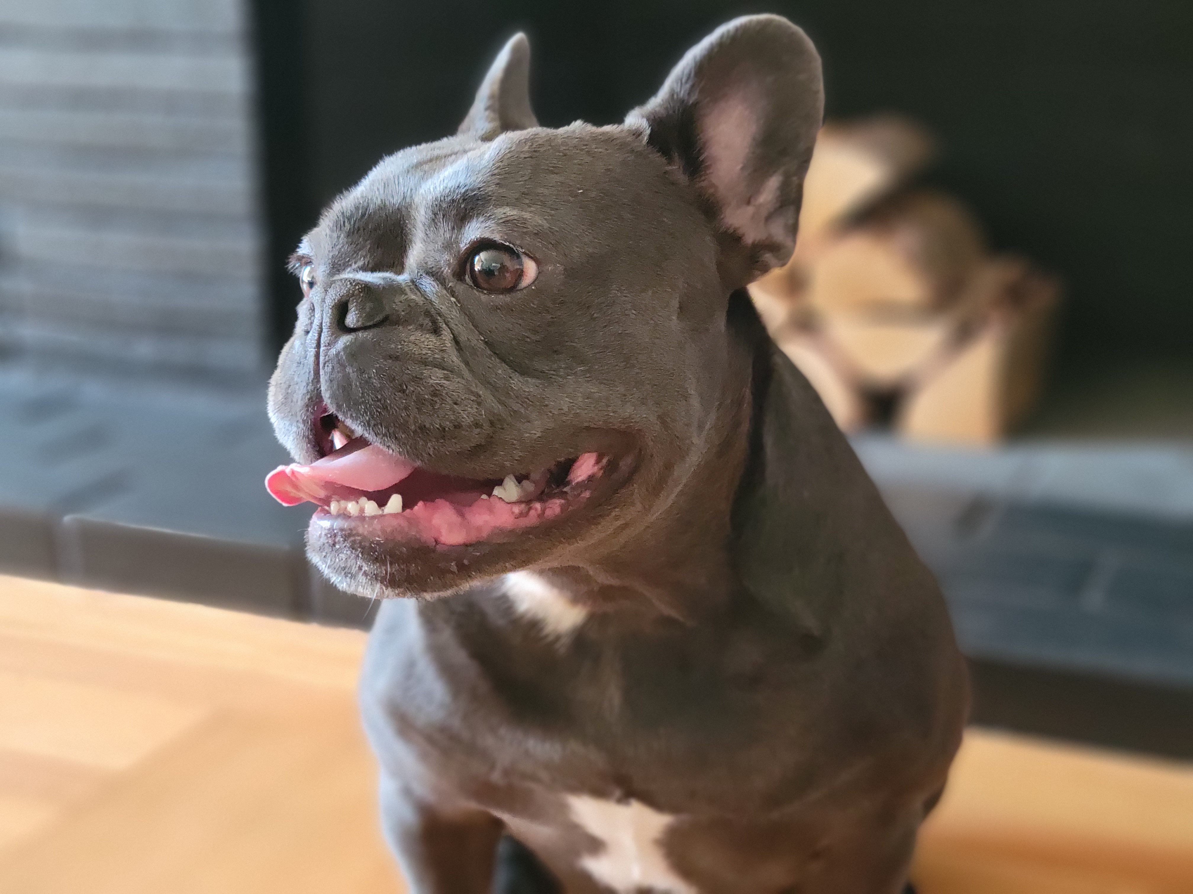 iphone 13 vs galaxy s21 cual te conviene comprar 01 samsung retrato