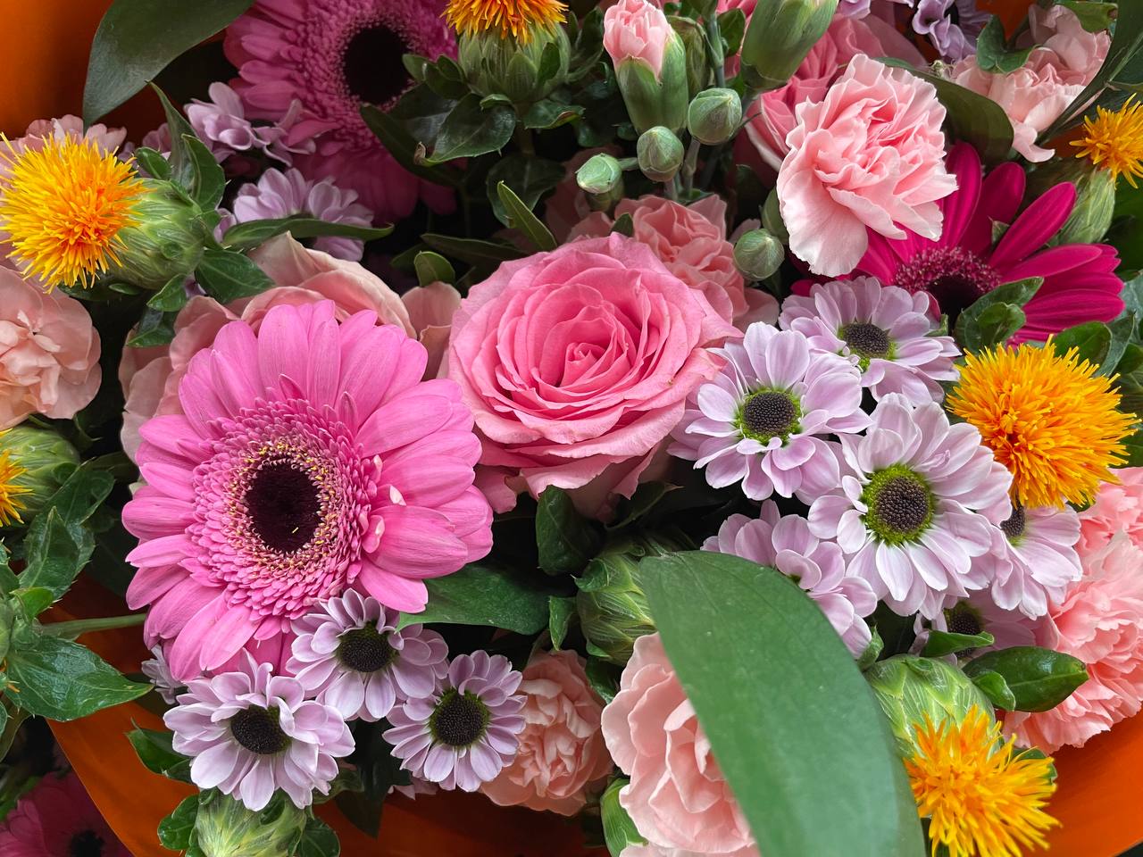 iphone 12 pro vs 13 camaras comparativa 6