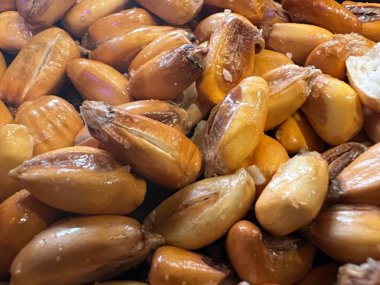 iphone 12 pro vs 13 camaras comparativa 4