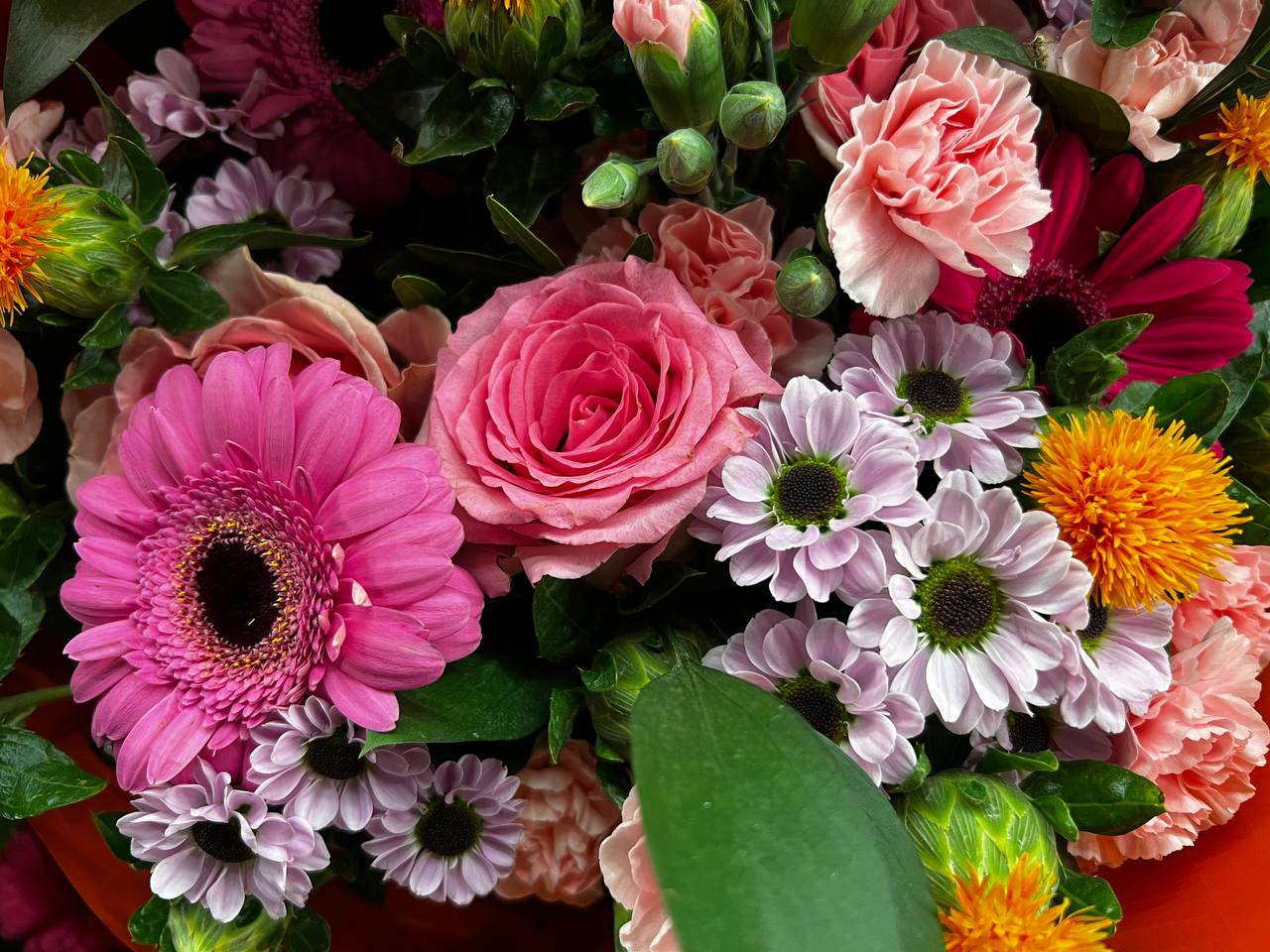 iphone 12 pro vs 13 camaras comparativa 6