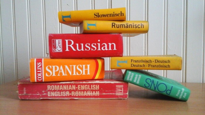 tecnologia barrera idioma diccionarios libros idiomas lenguajes