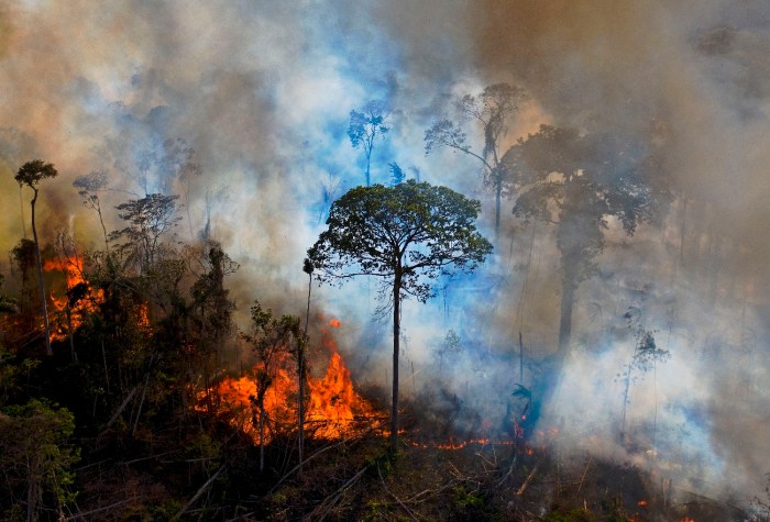 Incendios forestales en Amazonas