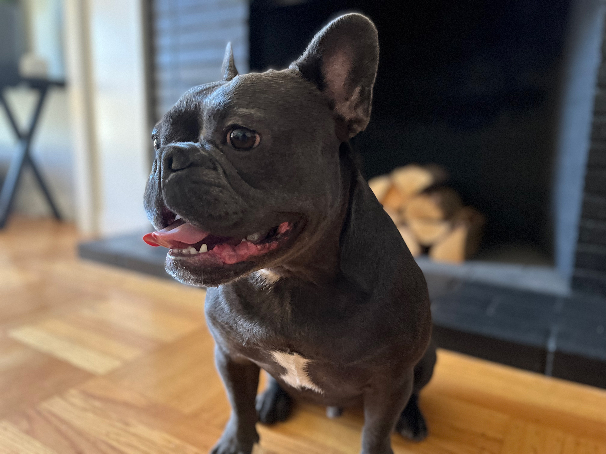 iphone 13 vs galaxy s21 cual te conviene comprar