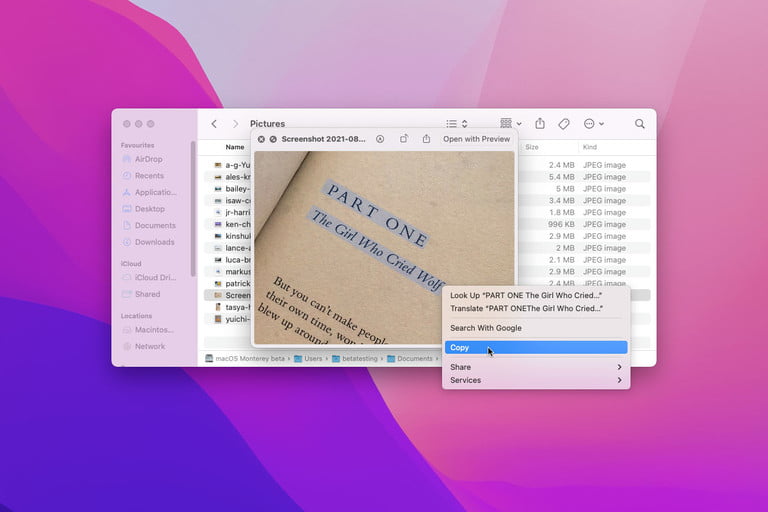 Live Text en MacOS Monterey resaltando un pasaje de texto en una foto.