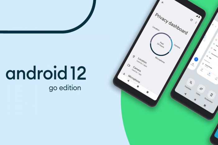 android 12 go