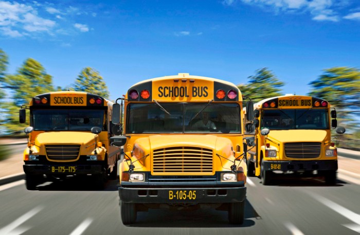 nueva york seguimiento gps buses escolares three school driving towards camera