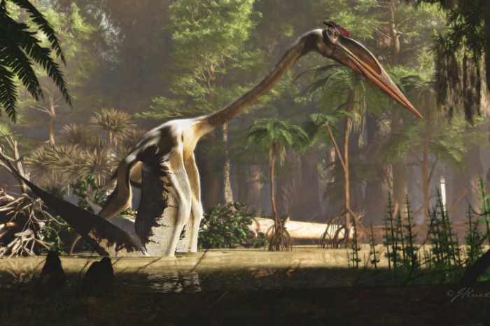 Una recreación artística del pterosaurio Quetzalcoatlus