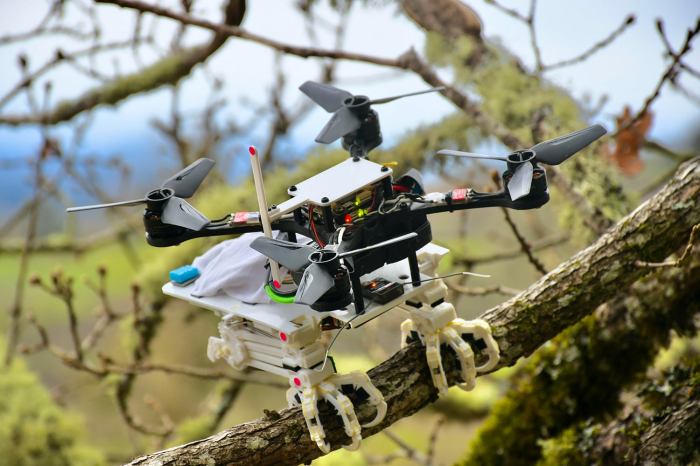 Un investigador de la Universidad de Stanford crea un dron con patas que aterriza como lo haría un pájaro