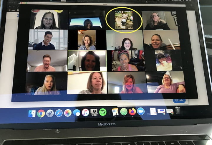 Pantalla mostrando una videollamada grupal con un intruso.