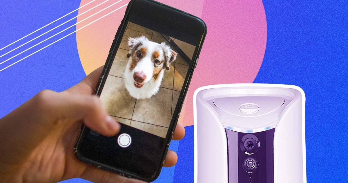  Petcube Cámara Cam 360  Cámara interactiva WiFi para mascotas  y seguridad para el hogar con aplicación de teléfono, video HD de 1080p,  rotación de 360°, visión nocturna, alertas inteligentes para : Electrónica