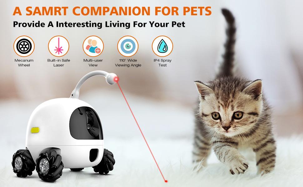  Rbcior Cámara para mascotas, cámara de vigilancia interior para  seguridad del hogar [2022] Cámara WiFi para perros, monitor de bebé 1080P  con detección de movimiento, audio bidireccional, WiFi de 2.4 GHz