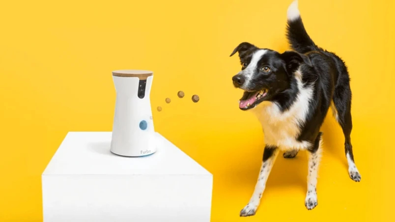 Furbo cámara para vigilar al perro 2021