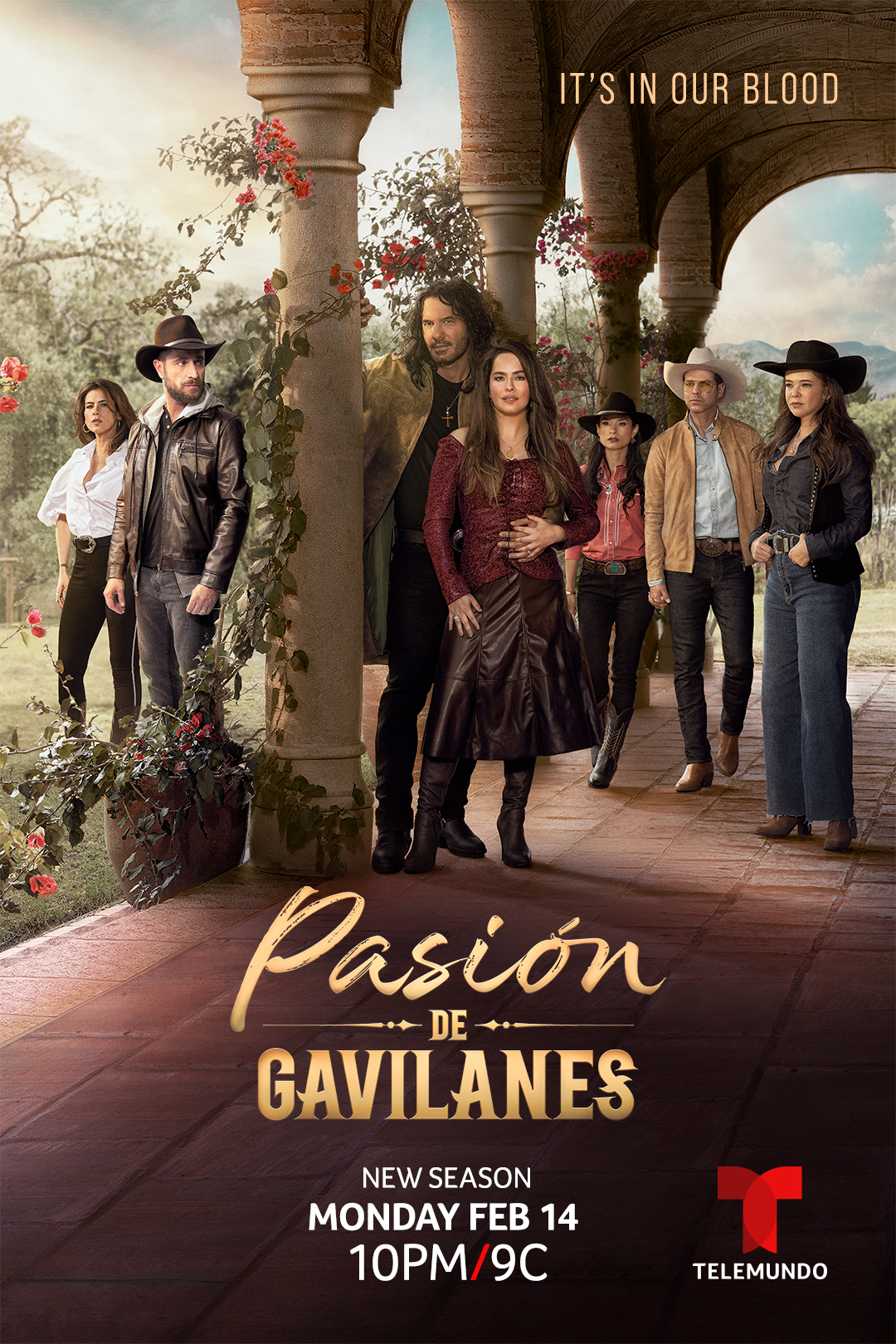 Póster de Pasión de Gavilanes 2