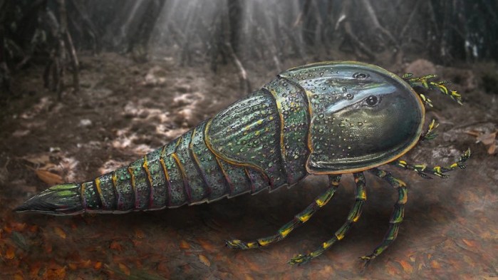 Un escorpión marino prehistórico descubierto en Australia.