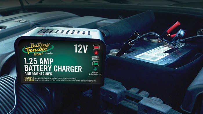 mejores cargadores baterias amazon battery tender plus 1