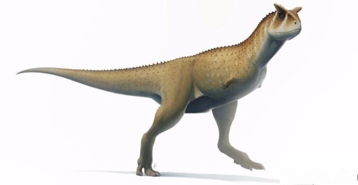 Dinosaurio sin brazos descubierto en Argentina.