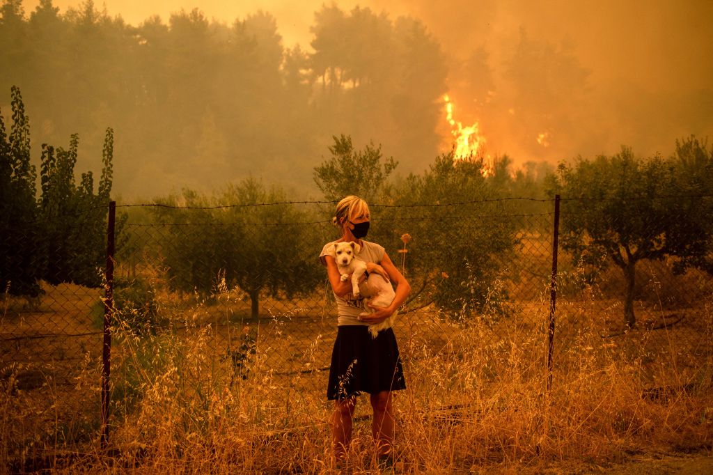 Una mujer sostiene en sus brazos a un perro en medio de un incendio forestal.
