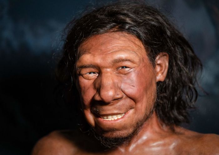Una representación facial de un hombre Neanderthal.