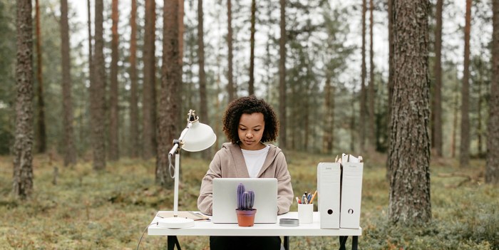 Una mujer trabaja en una laptop en un escritorio con una lámpara y material de oficina, en medio de un bosque.